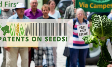 L’EPO cerca di aggirare la legge europeasui brevetti // No Patents on Seeds!