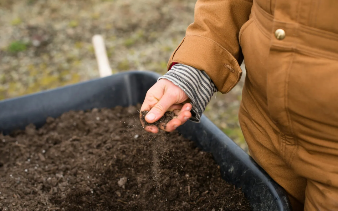Per una “ricontadinizzazione” dell’agricoltura