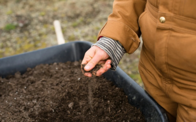 Per una “ricontadinizzazione” dell’agricoltura