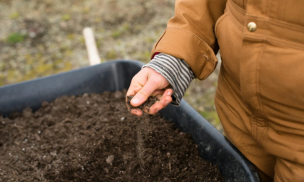 Per una “ricontadinizzazione” dell’agricoltura
