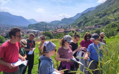 CEREA+ CONNECT: a scuola di biodiversità tra i campi di segale e i test di panificazione