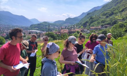 CEREA+ CONNECT: a scuola di biodiversità tra i campi di segale e i test di panificazione