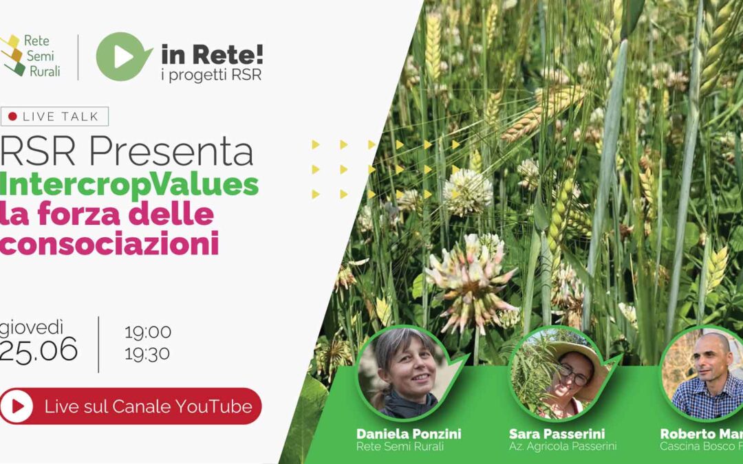 INTERCROP VALUES- Puntata 08
