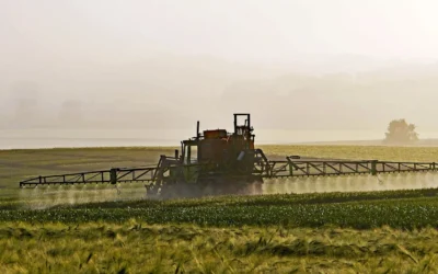 Crisi dei fertilizzanti: come trasformare un’opportunità in una occasione persa per la transizione ecologica dell’agricoltura
