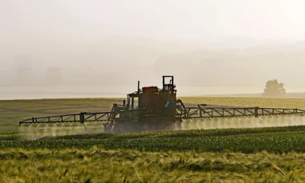 Crisi dei fertilizzanti: come trasformare un’opportunità in una occasione persa per la transizione ecologica dell’agricoltura