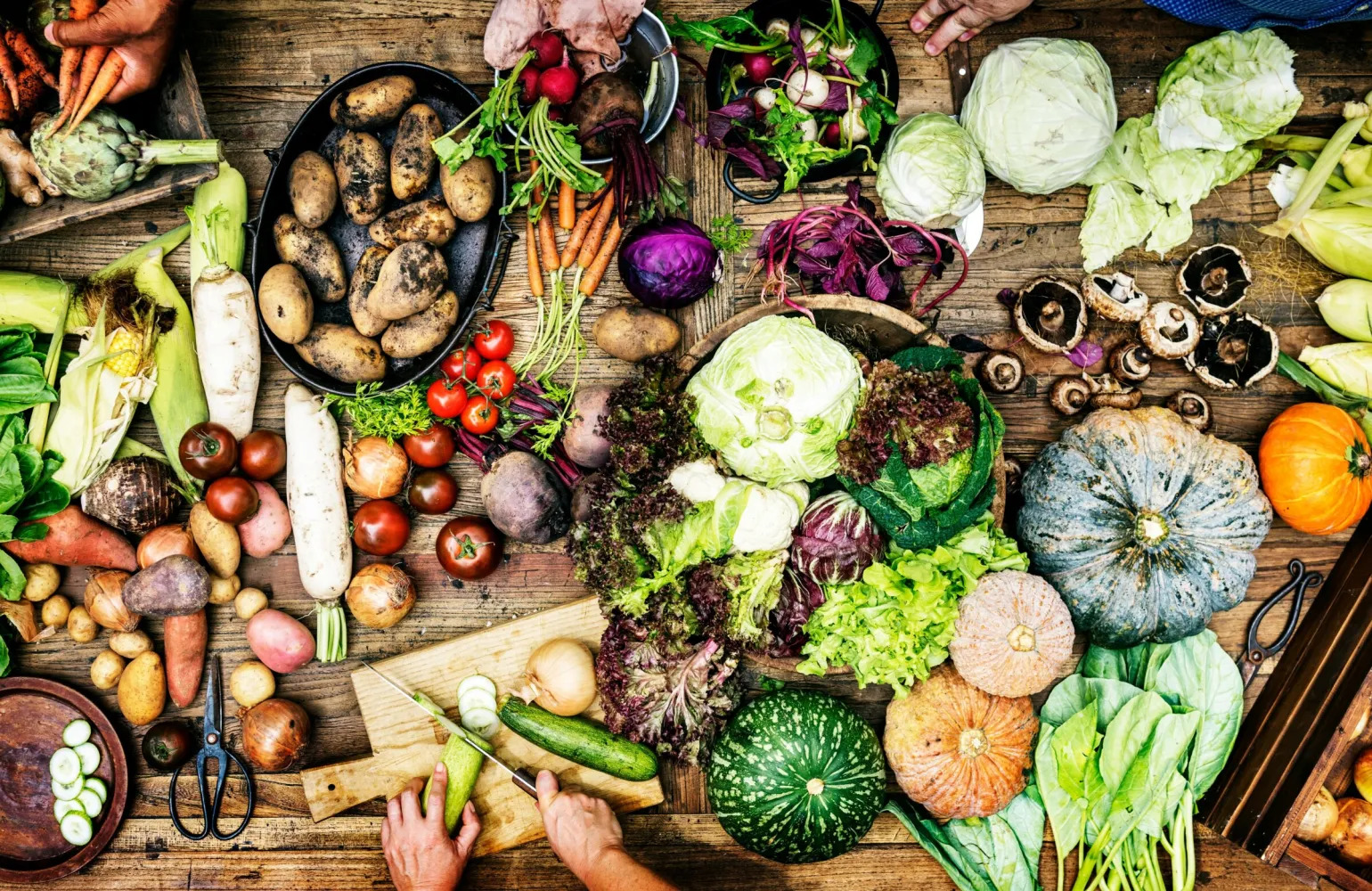 cibo biodiversità