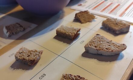 Valorizzare le consociazioni: prove di pane proteico
