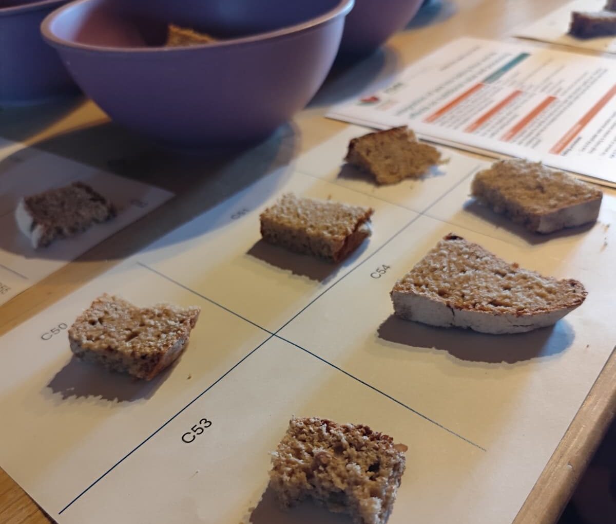 panel test pane proteico