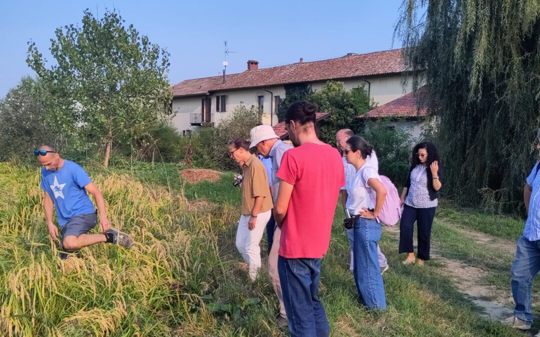 Risicoltura e sostenibilità: dal Kick Off Meeting del Progetto REMEDI le nuove sfide per il Mediterraneo