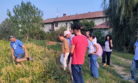 Risicoltura e sostenibilità: dal Kick Off Meeting del Progetto REMEDI le nuove sfide per il Mediterraneo