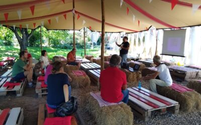 Il patrimonio del riso lombardo protagonista sul campo: le novità del Progetto CEREA + CONNECT